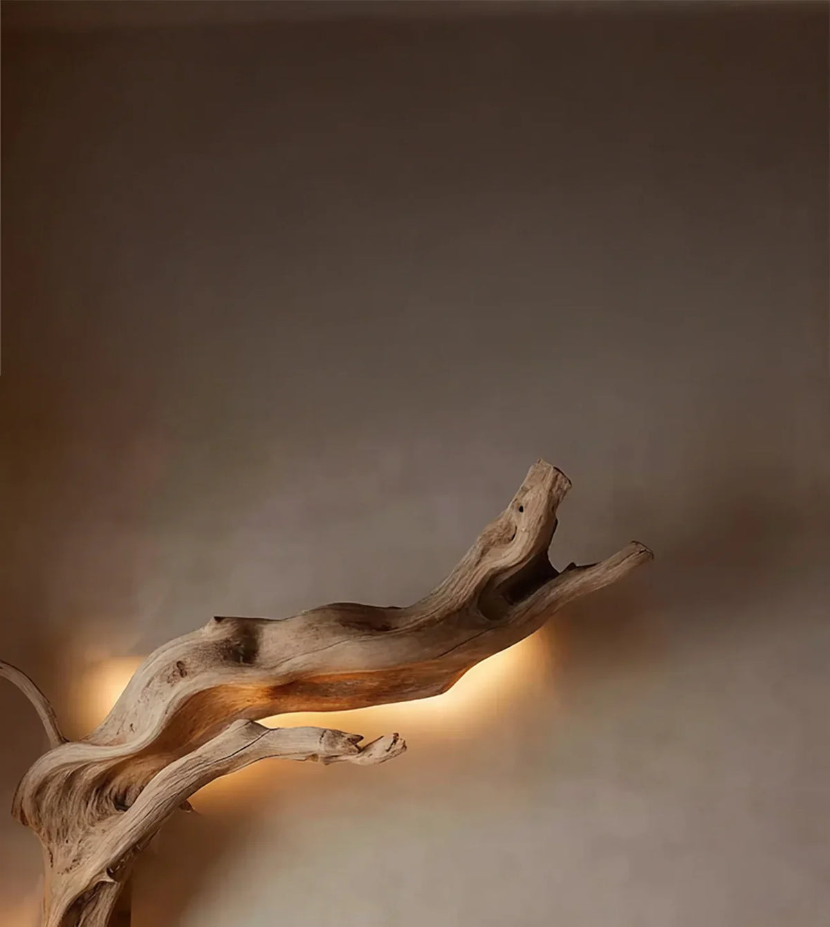 Wall-mounted driftwood sculpture with warm backlighting on smooth taupe wall